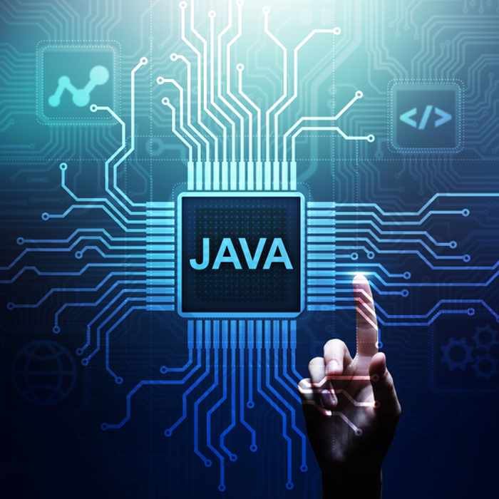 We're Experts in Java and Python CodeIgniter development services